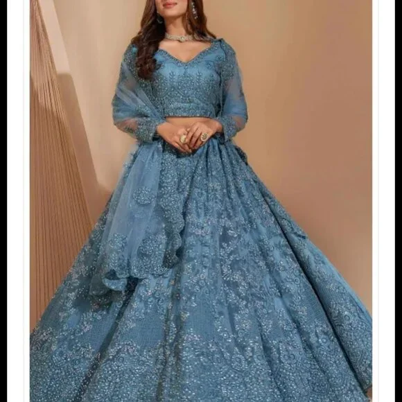 Embroidered Net Lehenga in Light Blue